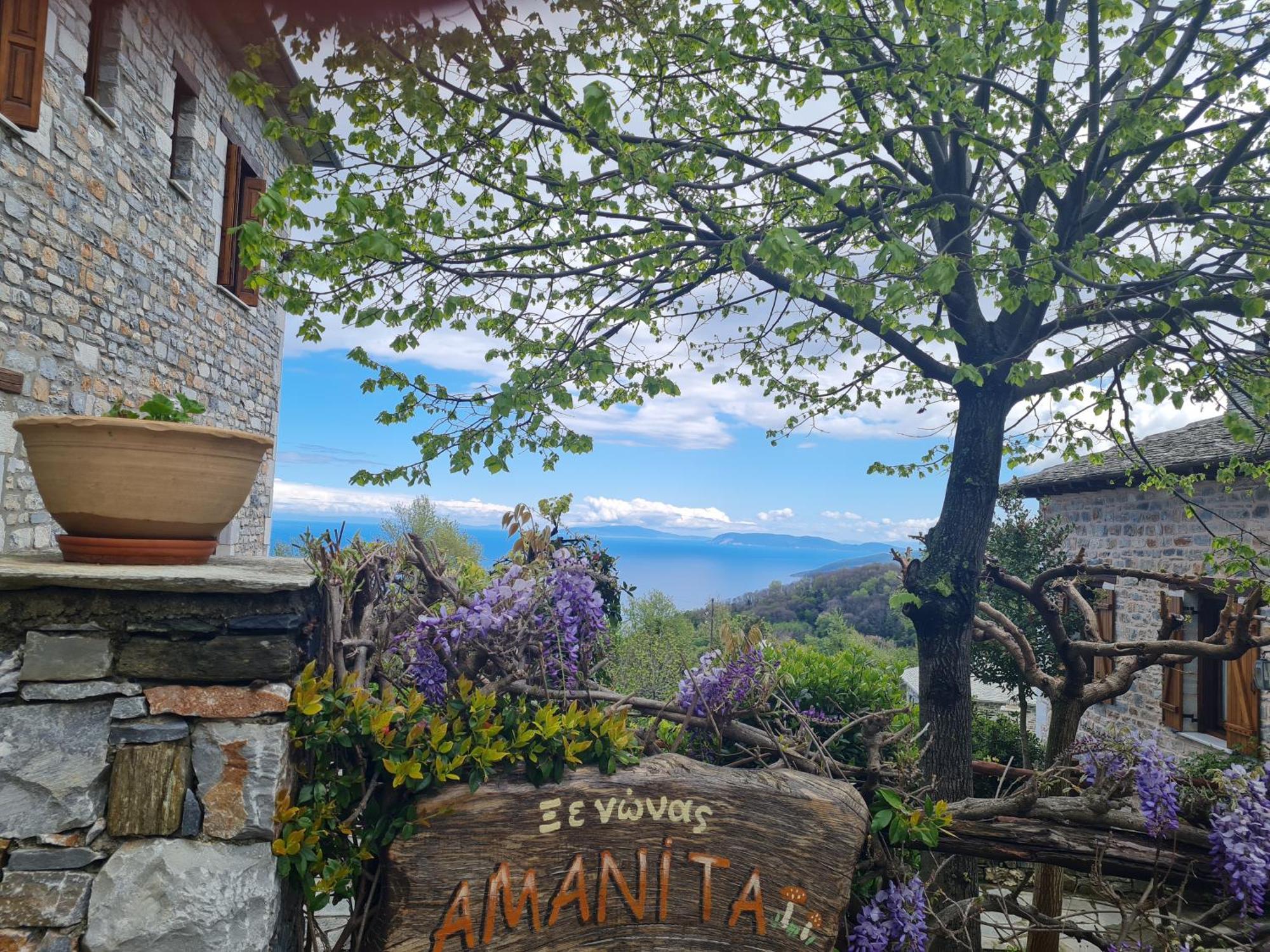 Amanita Boutique Hotel 차가라다 외부 사진